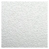 Плита потолочная Армстронг OASIS Board 600x600x12