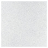 Потолочная плита Армстронг RETAIL Tegular 24 600x600x14