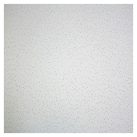 Плита потолочная POKROVER Лена НГ Board 600х600х12